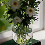 ���� ���� �� ������ ���� ���� ���� �...