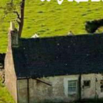 ����� ������