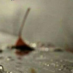 ��� ���� ��� ������� ��� �� �� ���� �...