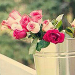 ������ ���� ����� ������