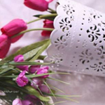 ���� �� ���� �������