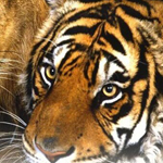 ���� ��� �� ���� ������ ���� ��