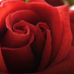 ������ �� �� �� ������ �� ��� �����