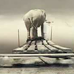 ����� ��� ����� �������