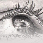 ���� ���� ����� ���� ����