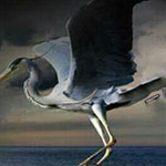 ���� ��� ��� �� ������ ���� �������