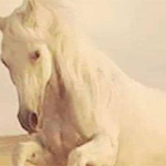 ����� ������ ������