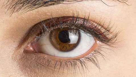 مجموعة أعشاب مدهشة ومفيدة لعلاج العيون