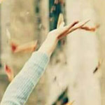 ������ �� ���� ��������