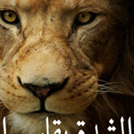 �� ����� ���� �����