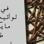 ������� ���� 100%