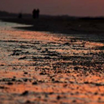 ��� ���� �� ������ ... ���� ���� ������ ���� ����