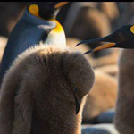 ����� ��� ���� ������ ������ ��� �� ����� ����� �����.