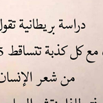 [����� ����� 100% �����