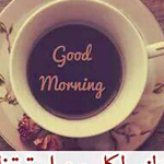 ����� ���� ������ ����� ����