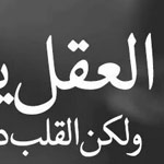 ����� ���� ���� ����� ������ �����