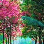 ����� ���� � ���� ��� ���������