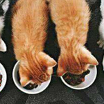 �� �� ���� ���� ���� ���� ������!