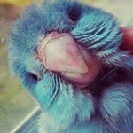 ���� ���� ������