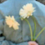 ����� ���� ����� ��� ���