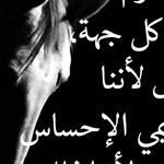 �� �� ����� ���� 