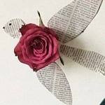 ����� ����� ���� ����