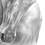 �� ��� ����..