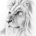 ���� �� ������ �������