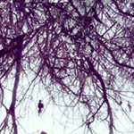 ����� ��� ��� ������