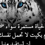 ������ ������ ���� ���� �� ����