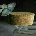 ���� ������ �� ���� �� ���  ����� �� ����