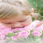 �� ���� ����� �� ���� ���� ������