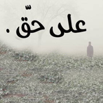 ������ ��� ���� �������