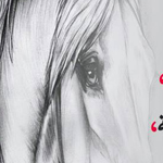 ����� ��� ���!!