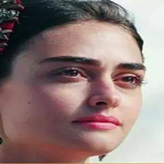 ���� ������ ������