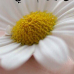 ���� ������ �� �� ���� �� ����