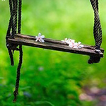 ���� ����