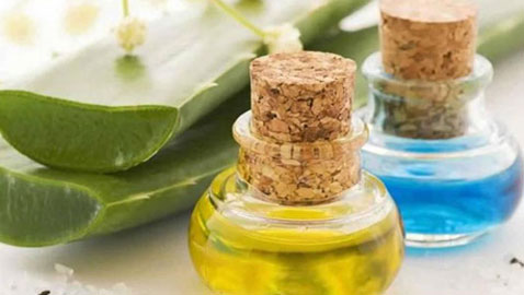 تعرفوا على فوائد الصبار المذهلة