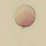 �� �� ����� �������� �� ���ȿ