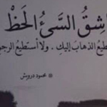 ���� ��� ����� ����� �� ������ ���� �...