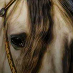  ���� ���� �����: ������ ��� �������� �� ���� .. �� �����  