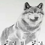 ����� ������ �� ��� ����� �������.. ������� �� ������ ���� �������� 