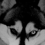 ��������� ������ �� �� ���