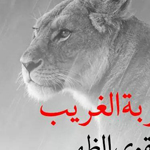 ���� ������ ���� �����