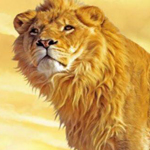 ������ �� ���� ��� �� �����