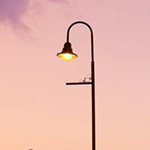 ����� �� ����.. ����� ����� ����..