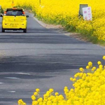 �� ����� ��� ���� �� ����� ����� ���� ���� ������ �����.. 