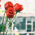 ����� �� ���� ���� ��� �����