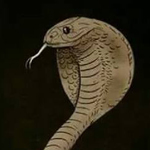 ��� ����� �� �� ������� 