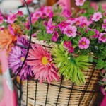 ����� ������